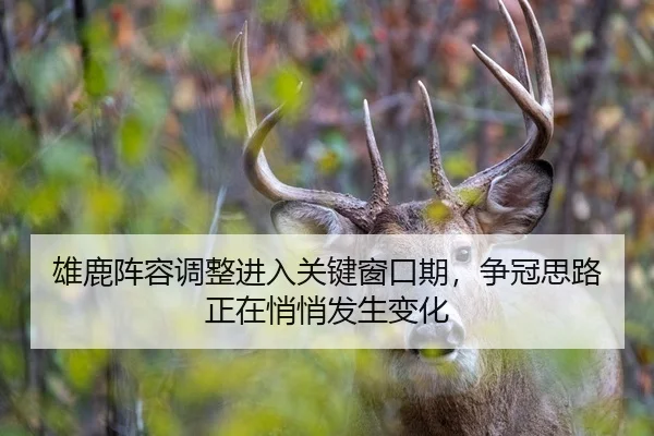 雄鹿阵容调整进入关键窗口期，争冠思路正在悄悄发生变化